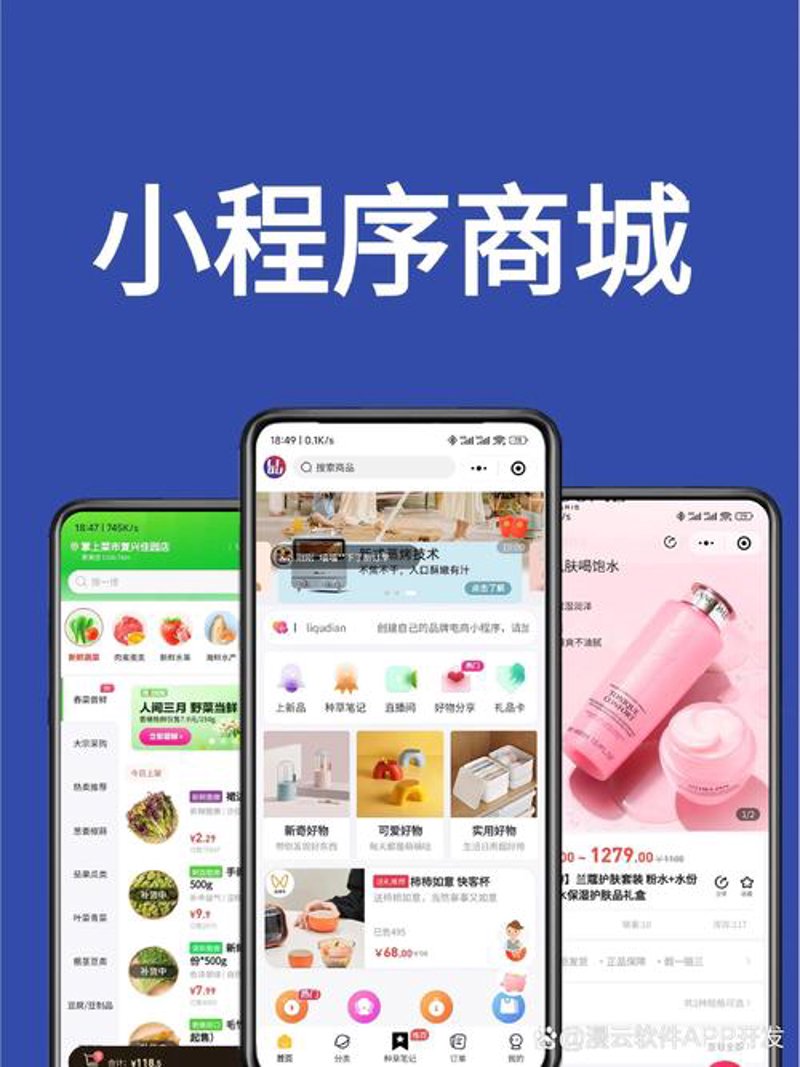 软件开发定制